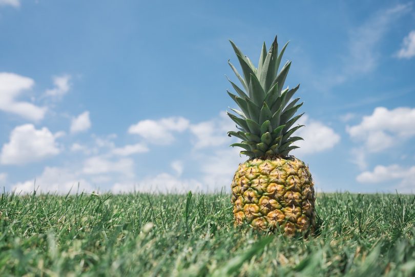 ananas pineapple